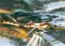Zzap!64 Space Attack Original Poster
